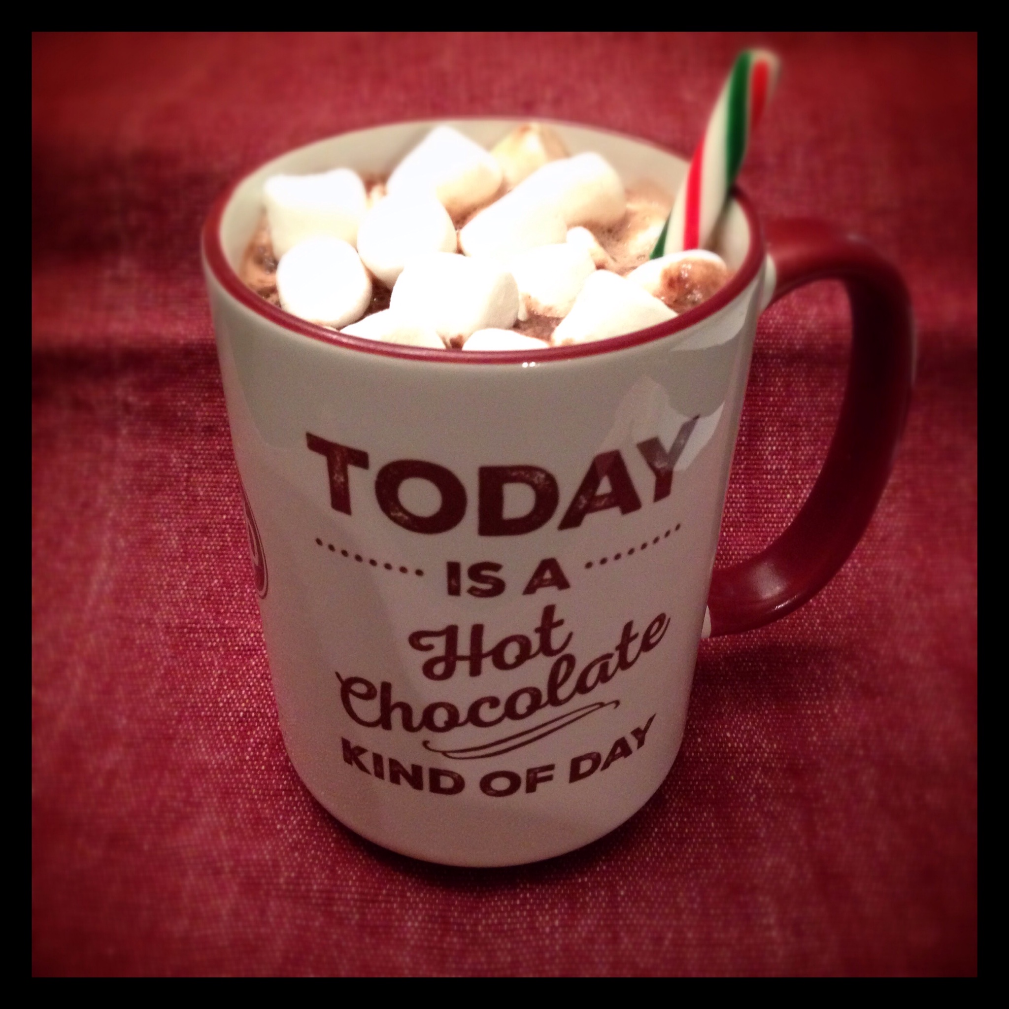 "Today Is A Hot Chocolate Kind Of Day" Mug