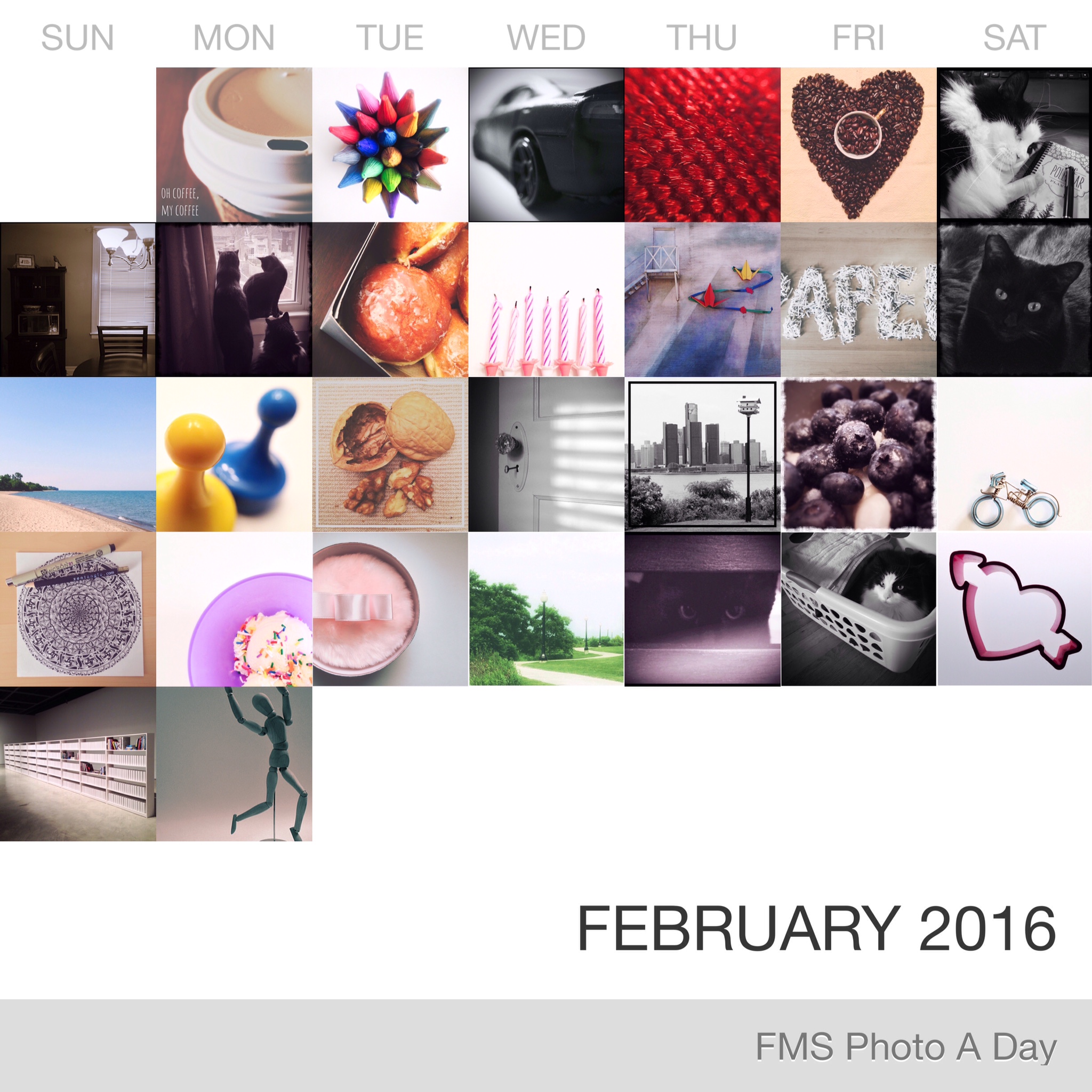 FMS Photo A Day February 2016