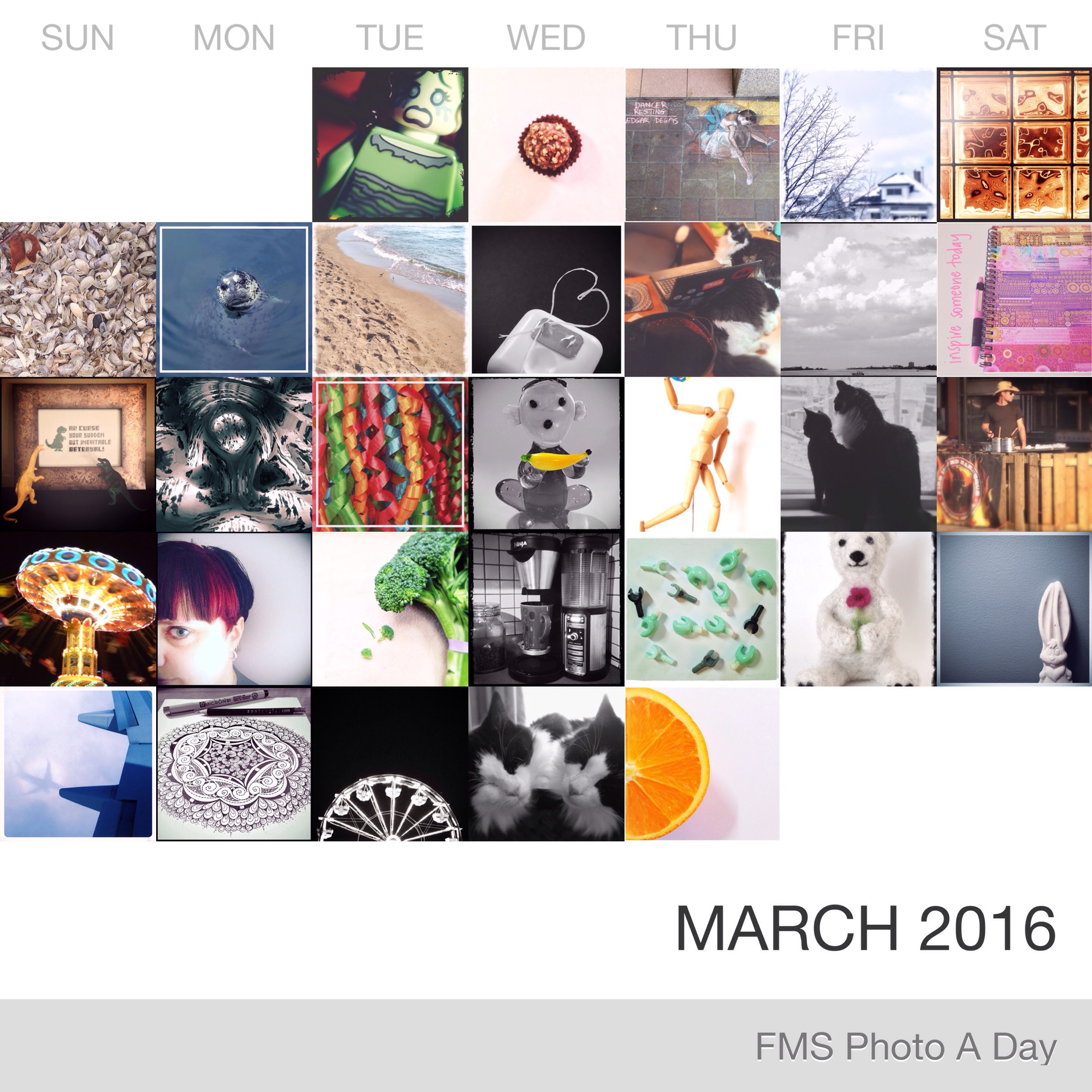 FMS Photo A Day March 2016