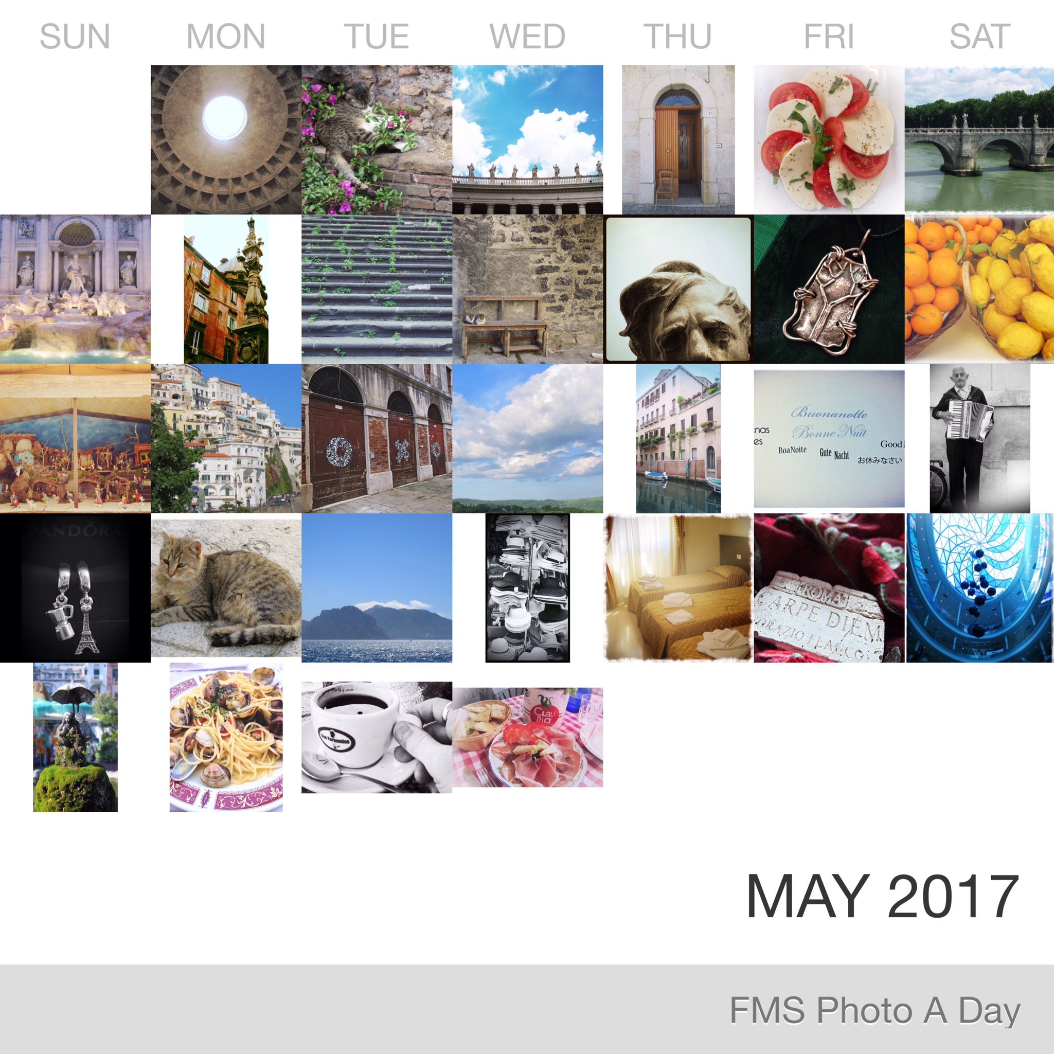FMS Photo A Day May 2017